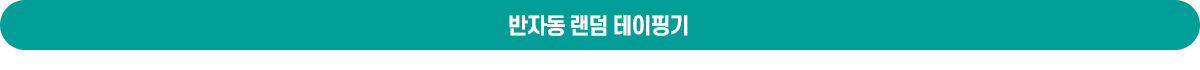 반자동랜덤테이핑기