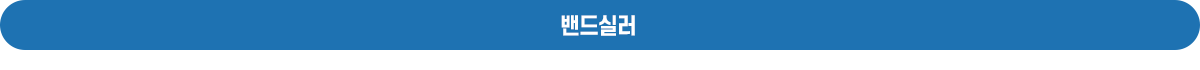 밴드실러