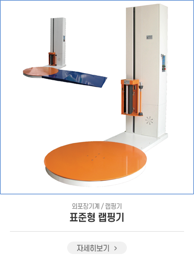 표준형
